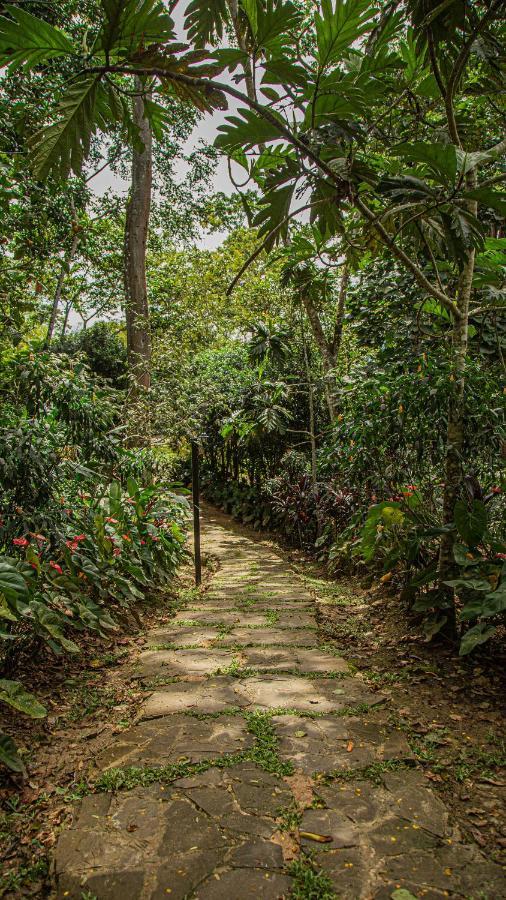 Kantu Garden Lodge Мойобамба Екстер'єр фото